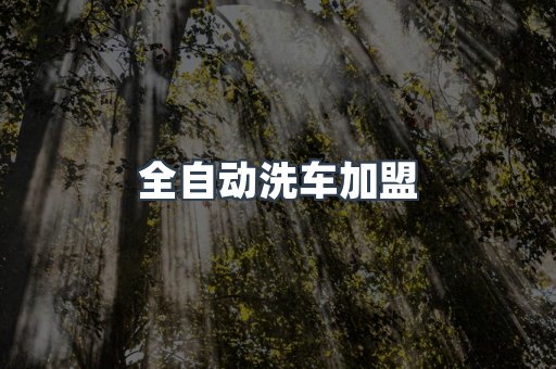 洗车加盟项目