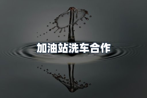 24小时无人洗车系列